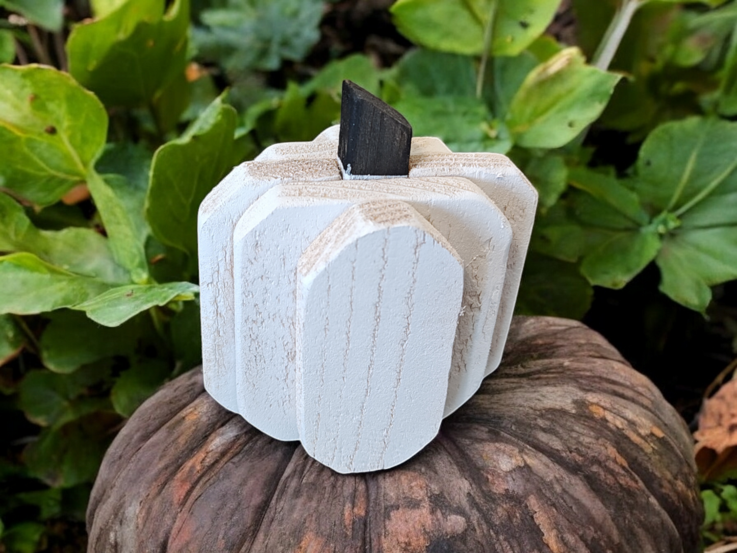 Rustic cedar pumpkin (white)